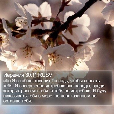 Иеремия 30:11 RUSV Bible Verse Image