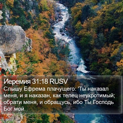 Иеремия 31:18 RUSV Bible Verse Image