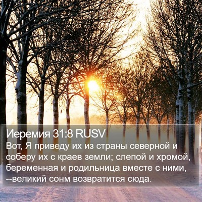 Иеремия 31:8 RUSV Bible Verse Image