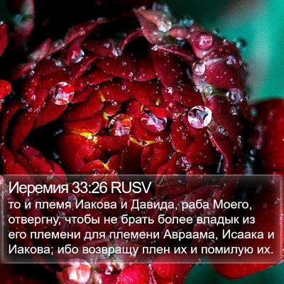 Иеремия 33:26 RUSV Bible Verse Image