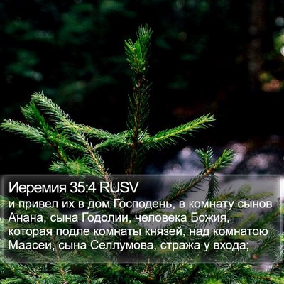 Иеремия 35:4 RUSV Bible Verse Image