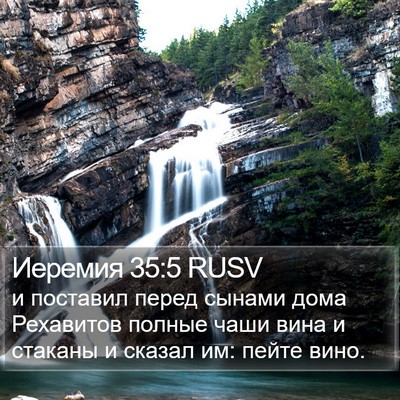 Иеремия 35:5 RUSV Bible Verse Image