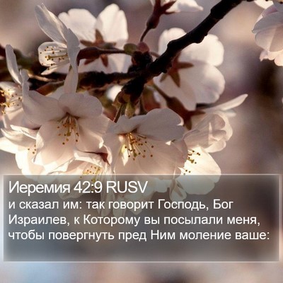 Иеремия 42:9 RUSV Bible Verse Image