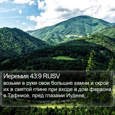 Иеремия 43:9 RUSV Bible Verse Image
