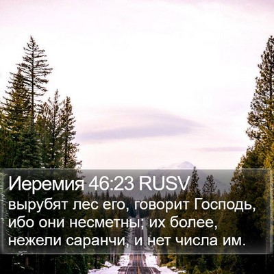 Иеремия 46:23 RUSV Bible Verse Image