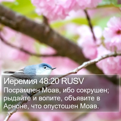 Иеремия 48:20 RUSV Bible Verse Image