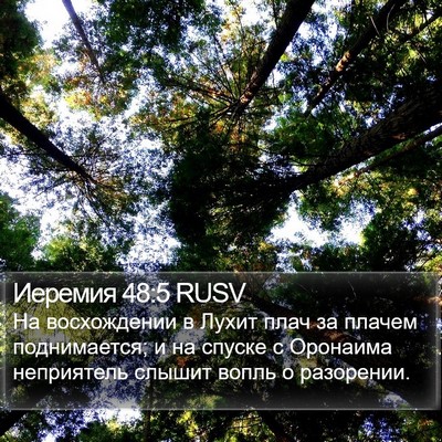 Иеремия 48:5 RUSV Bible Verse Image