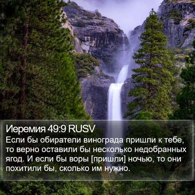 Иеремия 49:9 RUSV Bible Verse Image