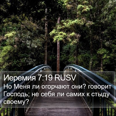 Иеремия 7:19 RUSV Bible Verse Image