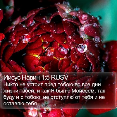 Иисус Навин 1:5 RUSV Bible Verse Image