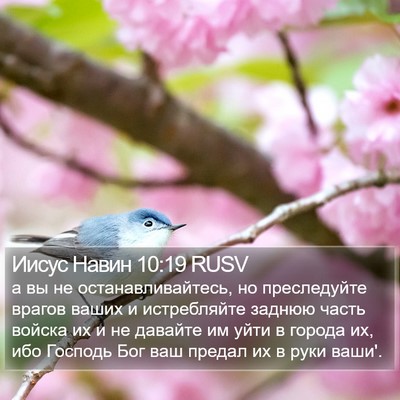 Иисус Навин 10:19 RUSV Bible Verse Image
