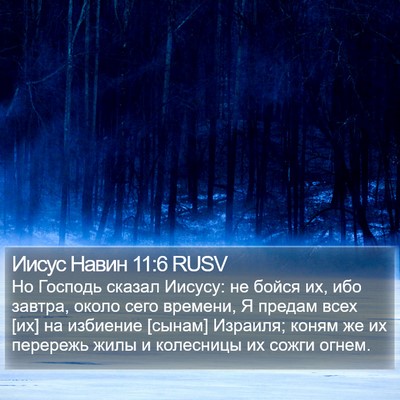 Иисус Навин 11:6 RUSV Bible Verse Image