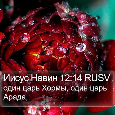 Иисус Навин 12:14 RUSV Bible Verse Image