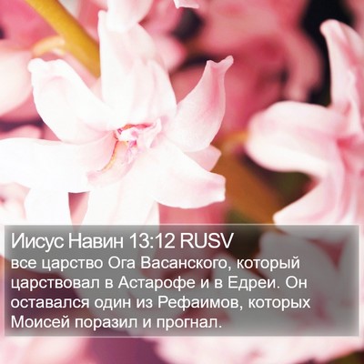 Иисус Навин 13:12 RUSV Bible Verse Image