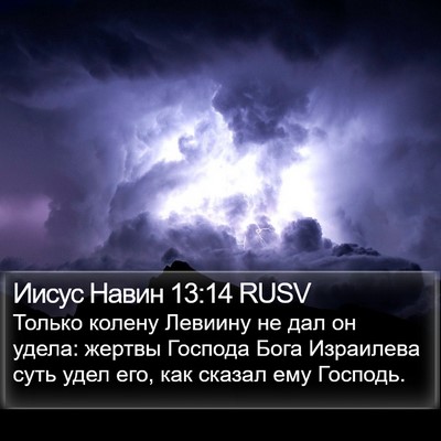 Иисус Навин 13:14 RUSV Bible Verse Image