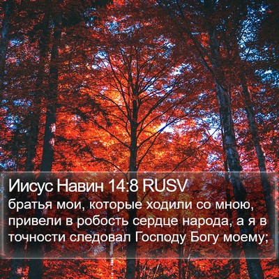 Иисус Навин 14:8 RUSV Bible Verse Image