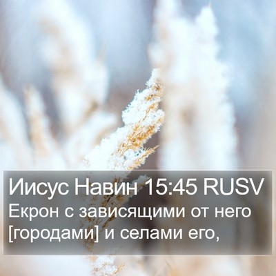 Иисус Навин 15:45 RUSV Bible Verse Image