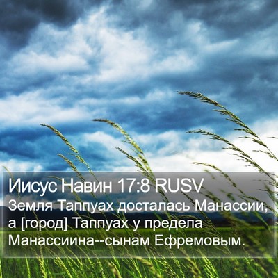Иисус Навин 17:8 RUSV Bible Verse Image