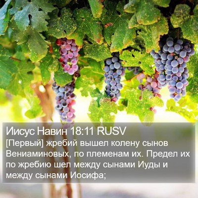 Иисус Навин 18:11 RUSV Bible Verse Image