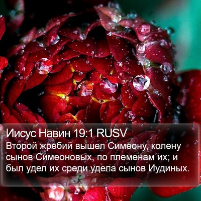 Иисус Навин 19:1 RUSV Bible Verse Image