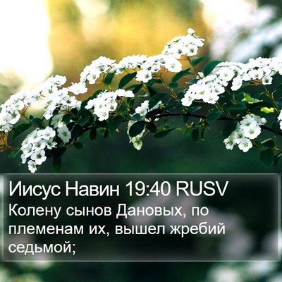 Иисус Навин 19:40 RUSV Bible Verse Image