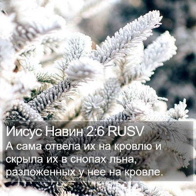 Иисус Навин 2:6 RUSV Bible Verse Image