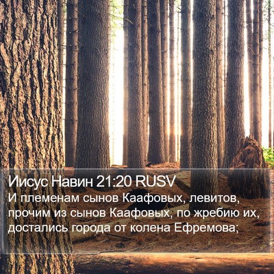 Иисус Навин 21:20 RUSV Bible Verse Image