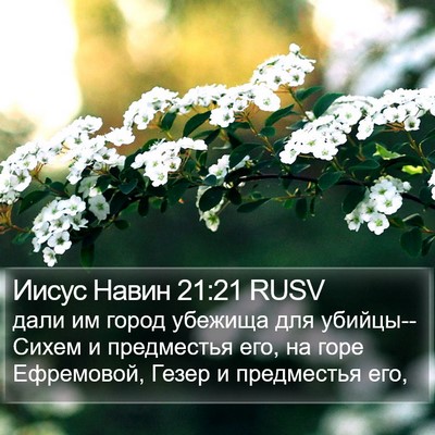 Иисус Навин 21:21 RUSV Bible Verse Image