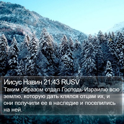 Иисус Навин 21:43 RUSV Bible Verse Image