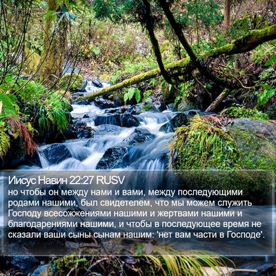 Иисус Навин 22:27 RUSV Bible Verse Image