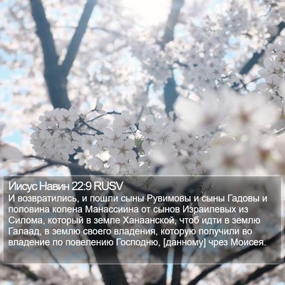 Иисус Навин 22:9 RUSV Bible Verse Image
