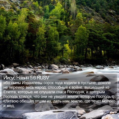 Иисус Навин 5:6 RUSV Bible Verse Image
