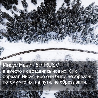 Иисус Навин 5:7 RUSV Bible Verse Image
