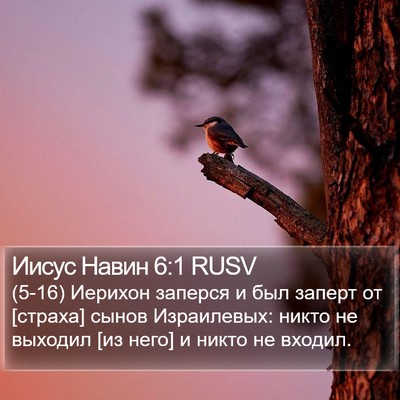 Иисус Навин 6:1 RUSV Bible Verse Image