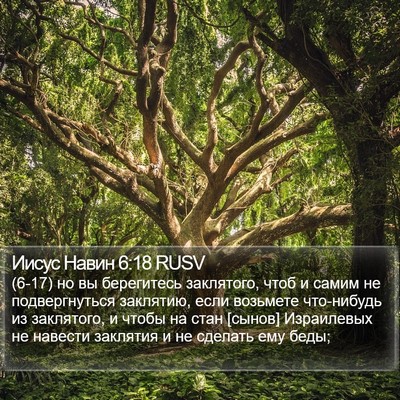 Иисус Навин 6:18 RUSV Bible Verse Image