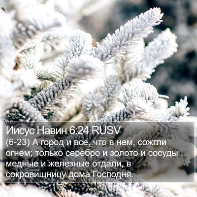 Иисус Навин 6:24 RUSV Bible Verse Image