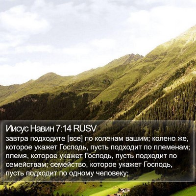 Иисус Навин 7:14 RUSV Bible Verse Image