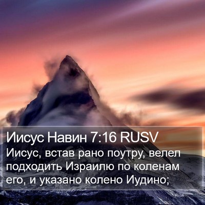 Иисус Навин 7:16 RUSV Bible Verse Image