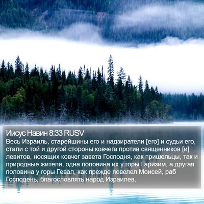 Иисус Навин 8:33 RUSV Bible Verse Image