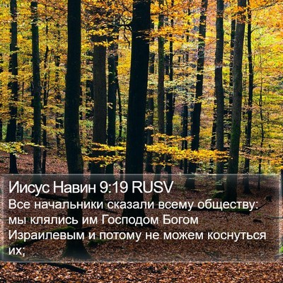 Иисус Навин 9:19 RUSV Bible Verse Image