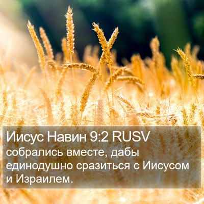 Иисус Навин 9:2 RUSV Bible Verse Image