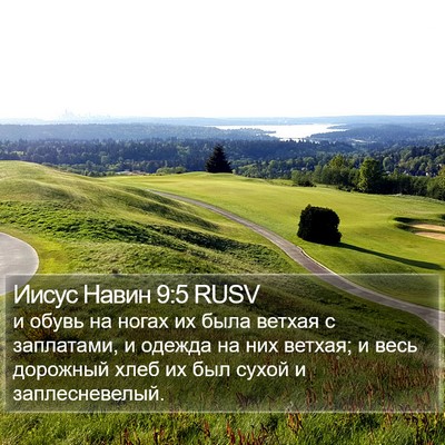 Иисус Навин 9:5 RUSV Bible Verse Image