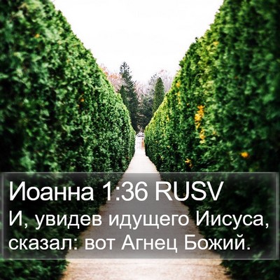 Иоанна 1:36 RUSV Bible Verse Image