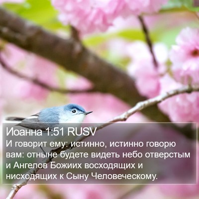 Иоанна 1:51 RUSV Bible Verse Image
