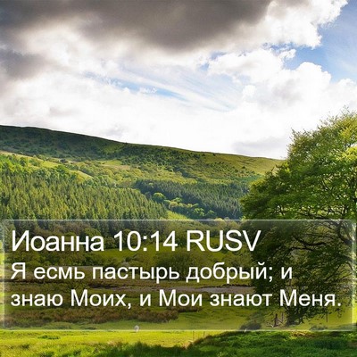 Иоанна 10:14 RUSV Bible Verse Image