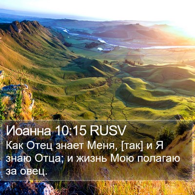Иоанна 10:15 RUSV Bible Verse Image