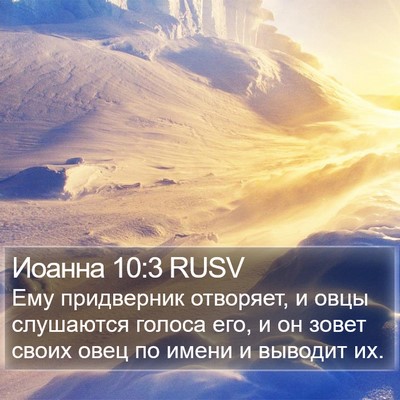 Иоанна 10:3 RUSV Bible Verse Image