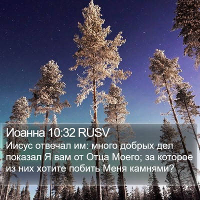 Иоанна 10:32 RUSV Bible Verse Image