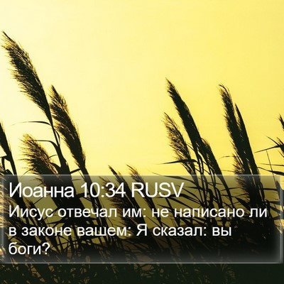 Иоанна 10:34 RUSV Bible Verse Image