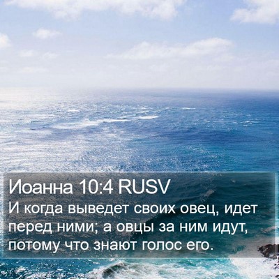 Иоанна 10:4 RUSV Bible Verse Image